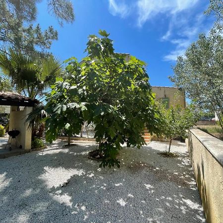 Marseillan Plage Joli T2 Exterior photo